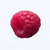 LOFTER圖片下載助手