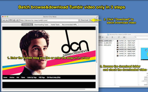 tumblr批量下載器 綠色版