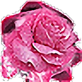 1314玫瑰社區新版