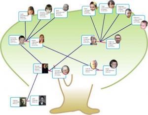 Redwood Family Tree 綠色版