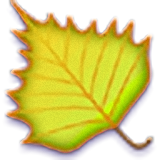 楓樺小說閱讀器