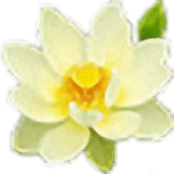 冰越語文單詞速背通軟件