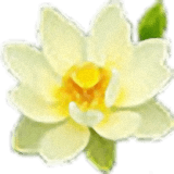 冰越語文單詞速背通軟件新版