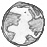 谷歌地球取點工具