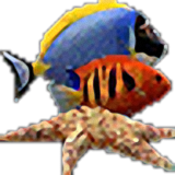 水族館屏保新版