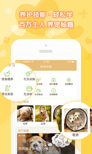 鈴鐺寵物 安卓版