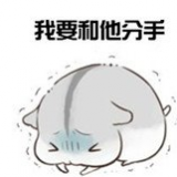 賣(mài)萌倉(cāng)鼠表情包