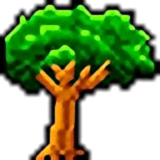 多媒體課堂小學數學新版