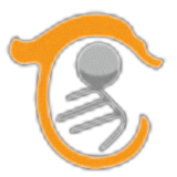 華夏文交所新版