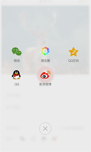 節(jié)日說 安卓版