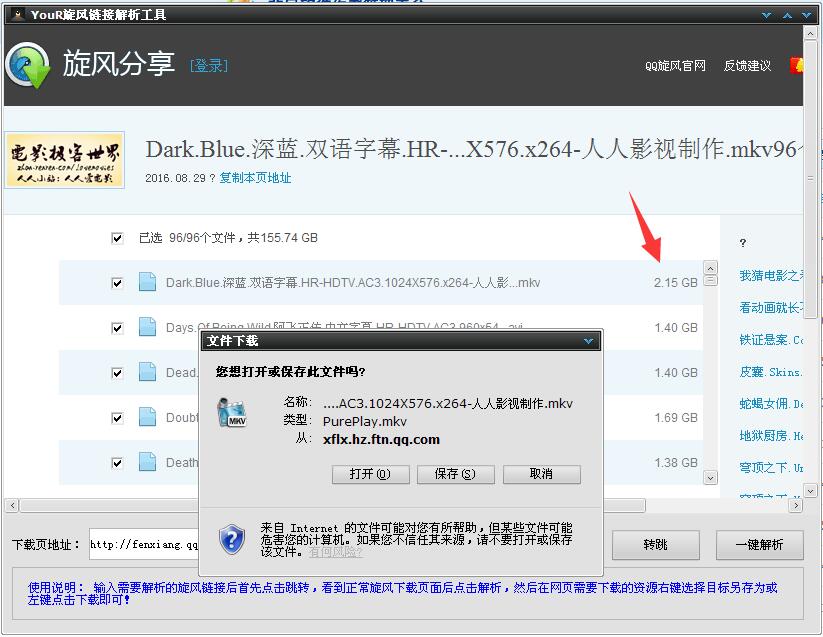 YouR旋風鏈接解析工具 綠色版