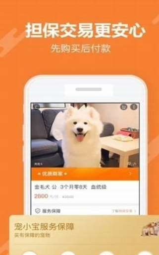 寵小寶 v1.3.1